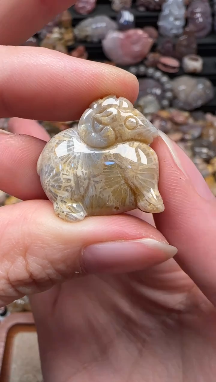 颈饰未镶嵌硅化珊瑚（珊瑚玉）319