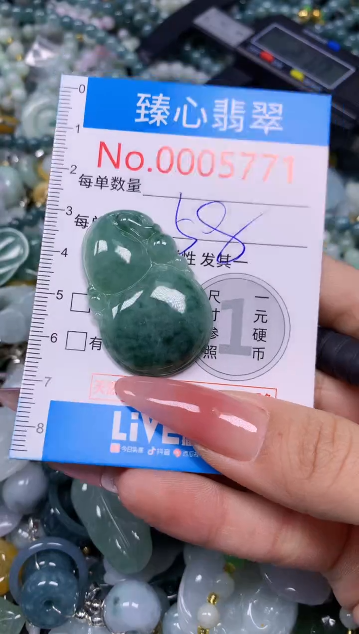 【闪购商品】翡翠颈饰未镶嵌含绳0005771