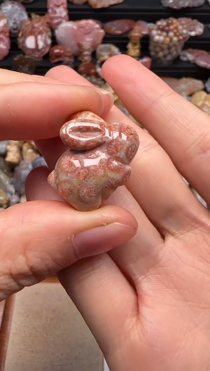 【闪购商品】硅化珊瑚（珊瑚玉）颈饰未镶嵌342