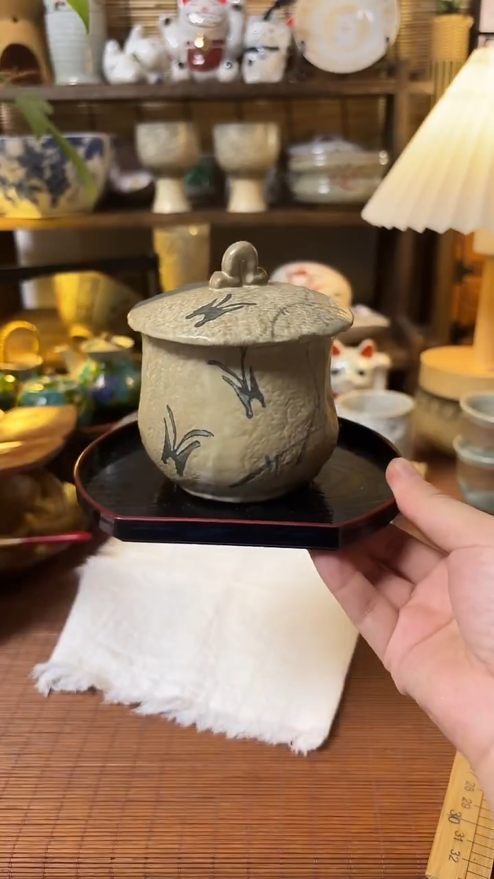 瓷片喵喵家都是大漂亮