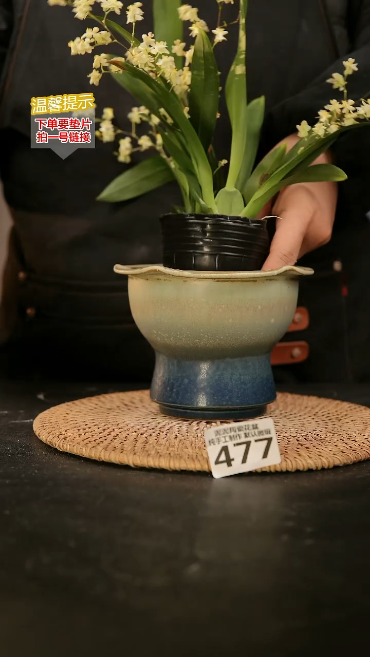 瓷片477内口径约11-12 外高约11-12