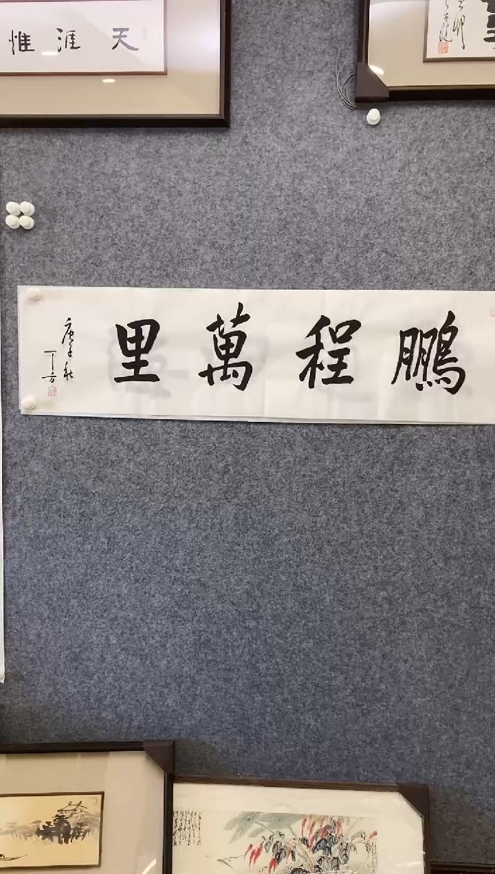 【闪购商品】书法DF软片 0004 鹏程万里