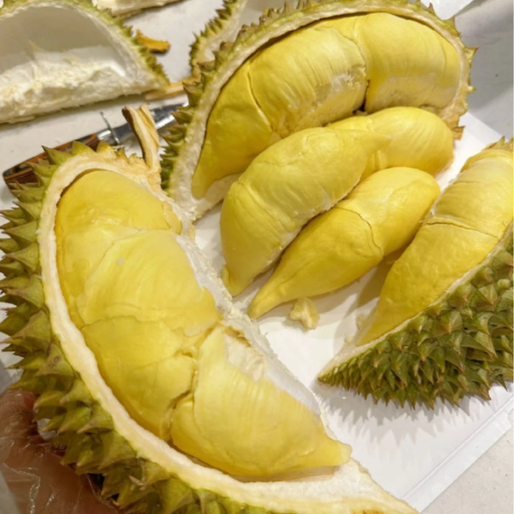 【陈灵岳甄选】泰国鲜果火山金枕榴莲一颗（包4房） 3斤以上