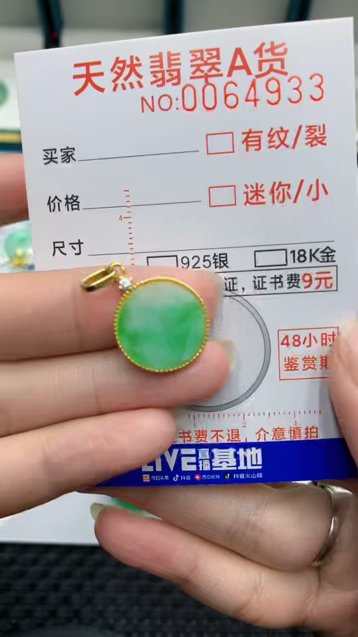 【闪购商品】翡翠颈饰银S925镶嵌            8