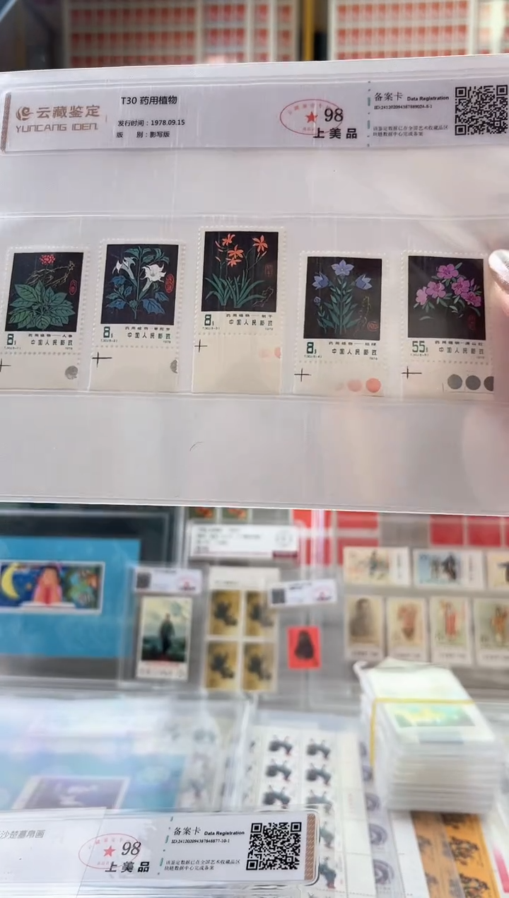 【闪购商品】T30  药用植物 限时闪购