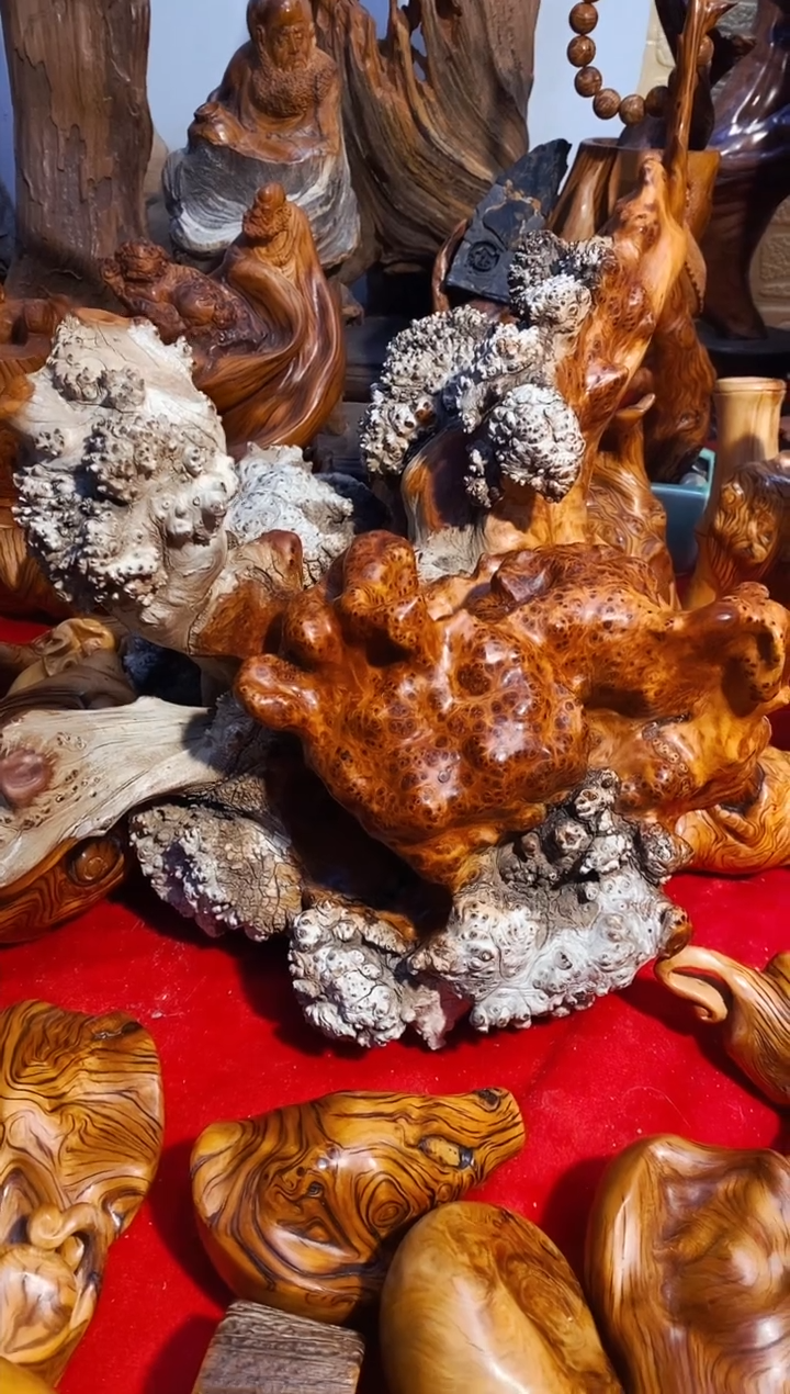 【闪购商品】柏木11111崖柏崖柏崖柏