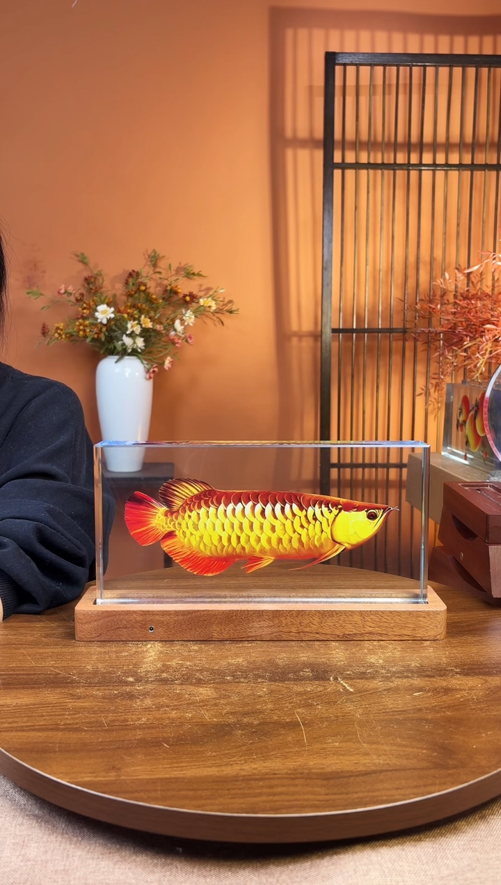 人造水晶方形 金龙鱼30/15/4加底座