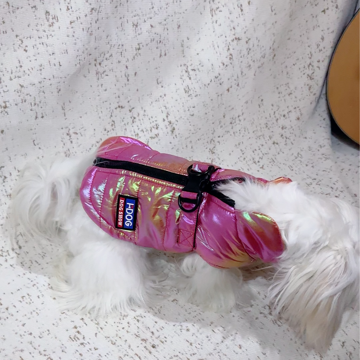 狗狗衣服冬季棉服带牵引扣渐变棉服约克夏雪纳瑞比熊泰迪衣服保暖