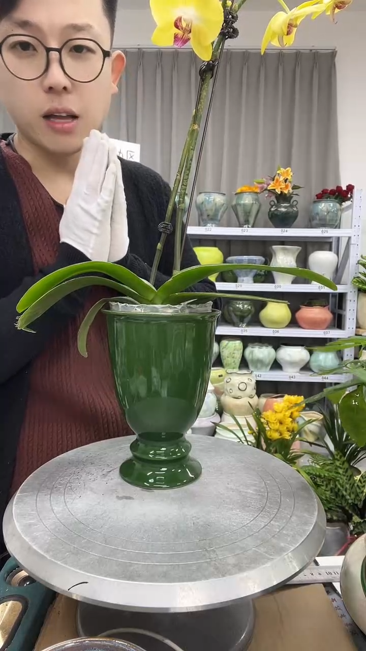 直播链接  高：   口：