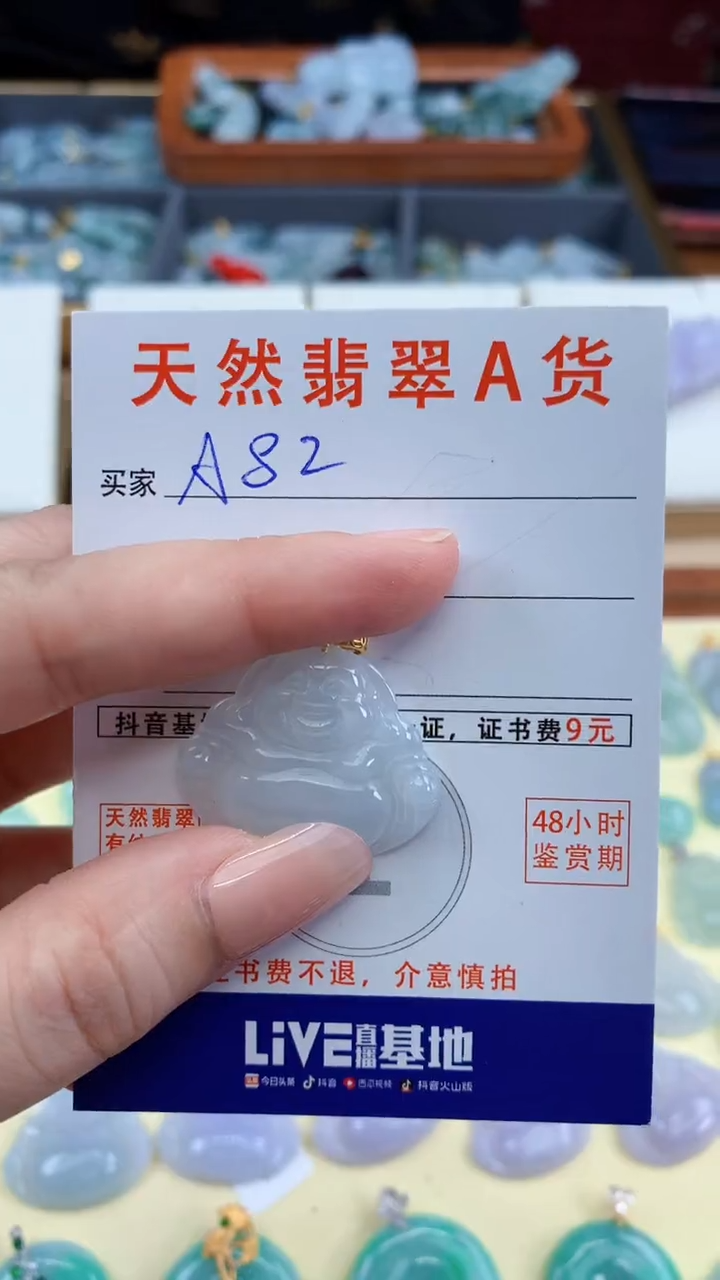 颈饰未镶嵌翡翠天然A货翡翠挂件