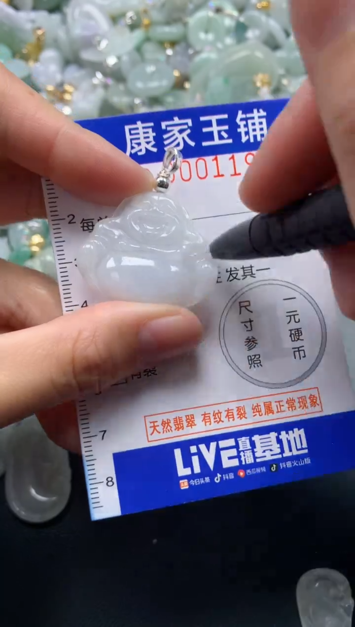 颈饰未镶嵌翡翠1192