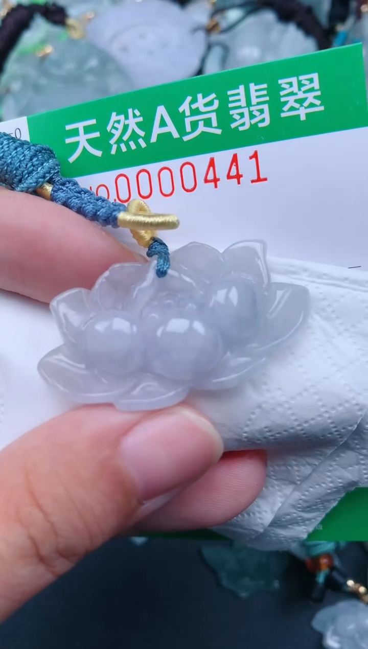 翡翠未镶嵌颈饰.0000441