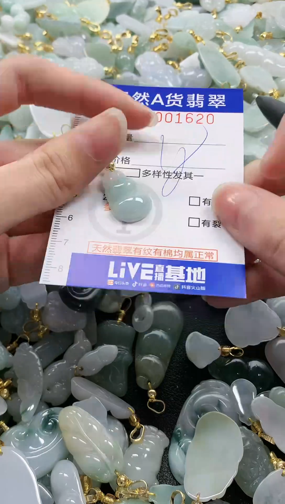 颈饰未镶嵌翡翠纯天然a货翡翠