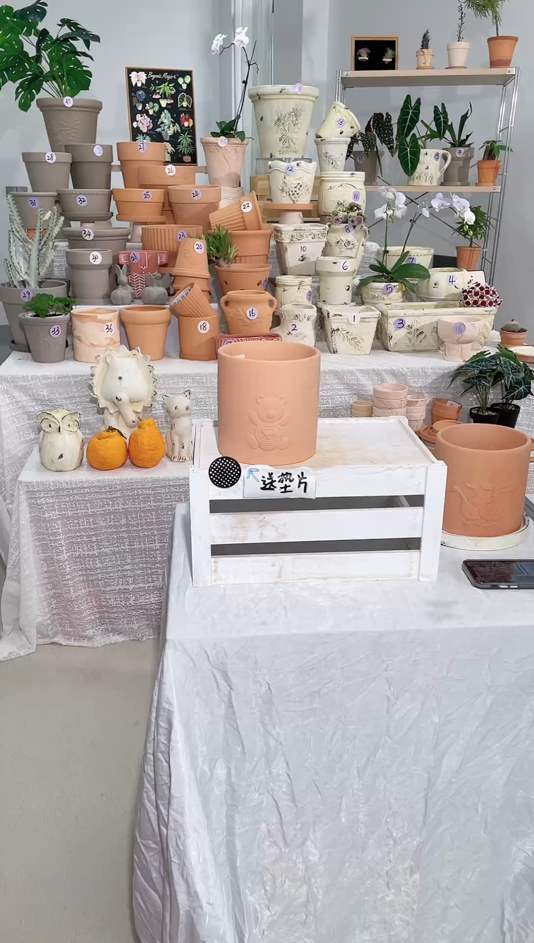 【闪购商品】陶1个无托 红陶直筒熊 口径15*15