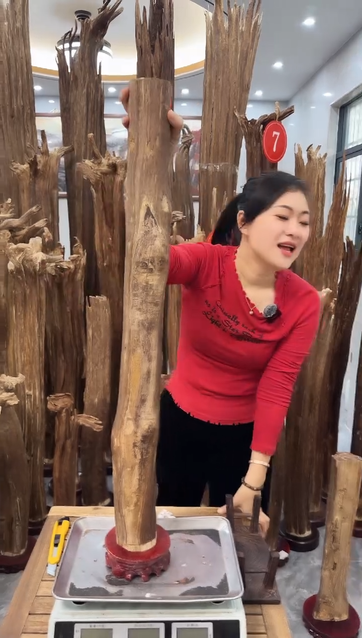 【闪购商品】沉香摆件沉香摆件多样性发货一个22