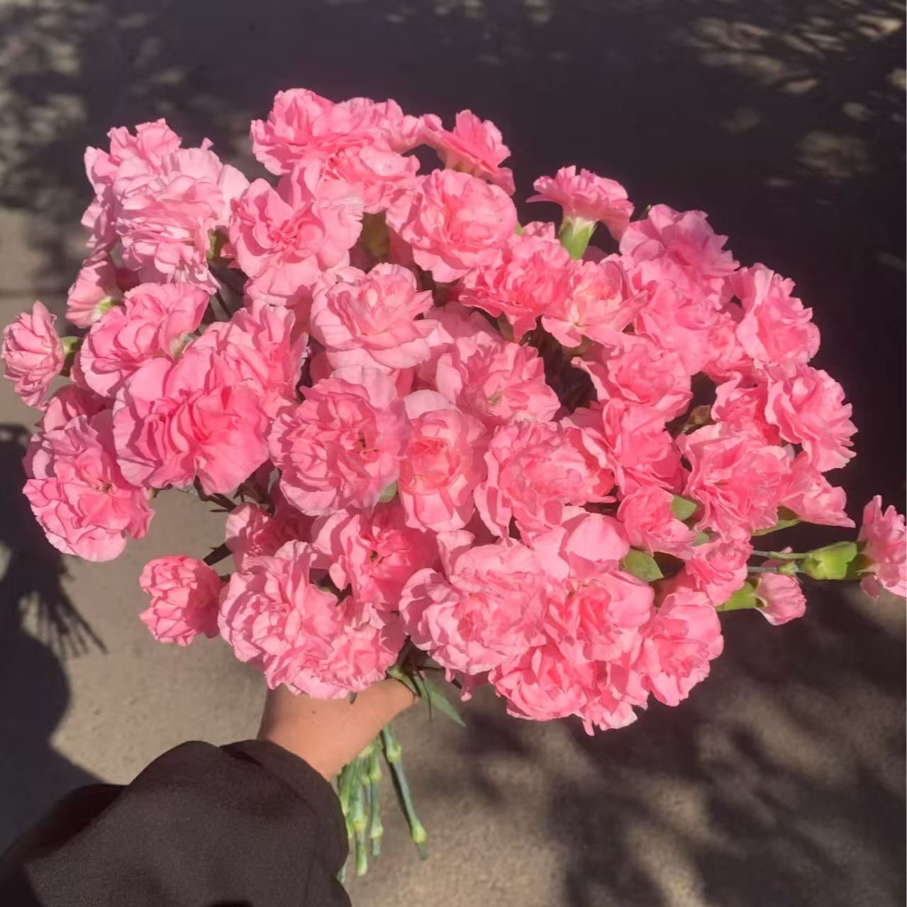 20枝珍珠粉多头康乃馨  （两单发顺丰或京东快递）云南鲜花
