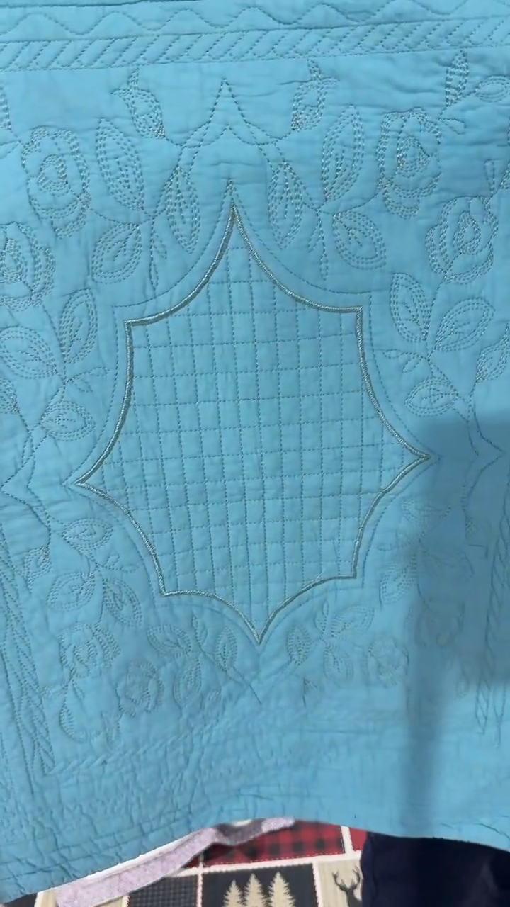 棉彦*枕套一对蓝色