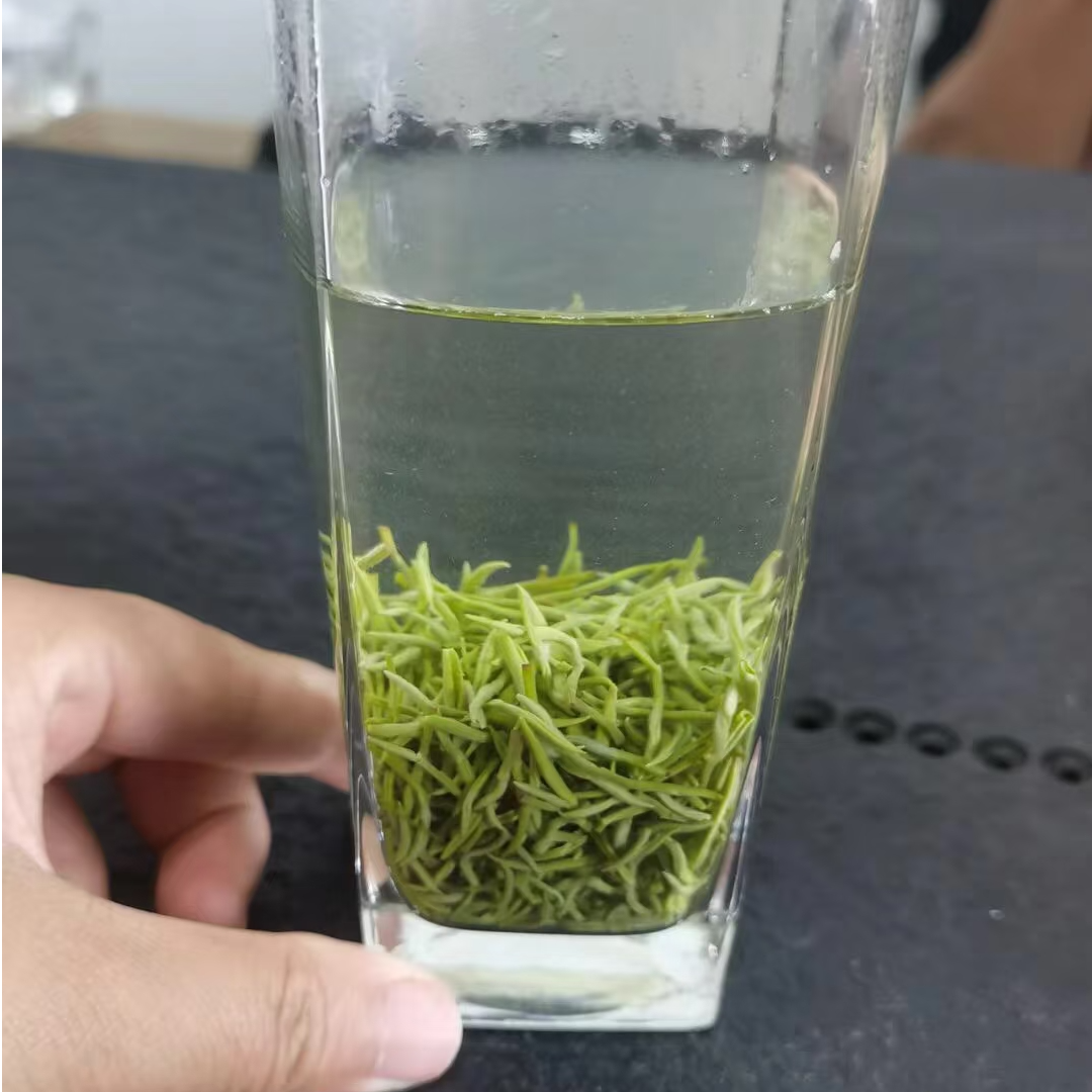 2025新茶雨前碧螺春浓香耐泡栗香