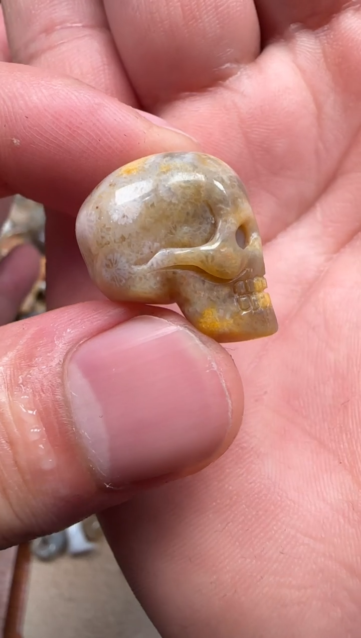 【闪购商品】硅化珊瑚（珊瑚玉）颈饰未镶嵌244