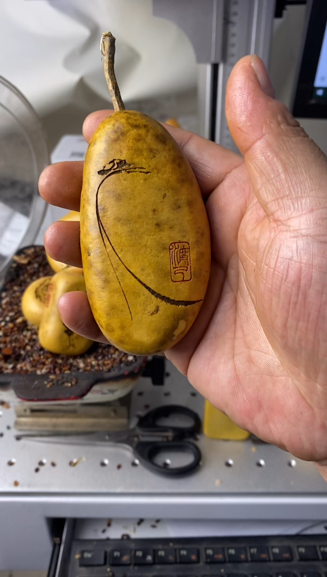 ?***?葫芦葫芦葫芦葫芦