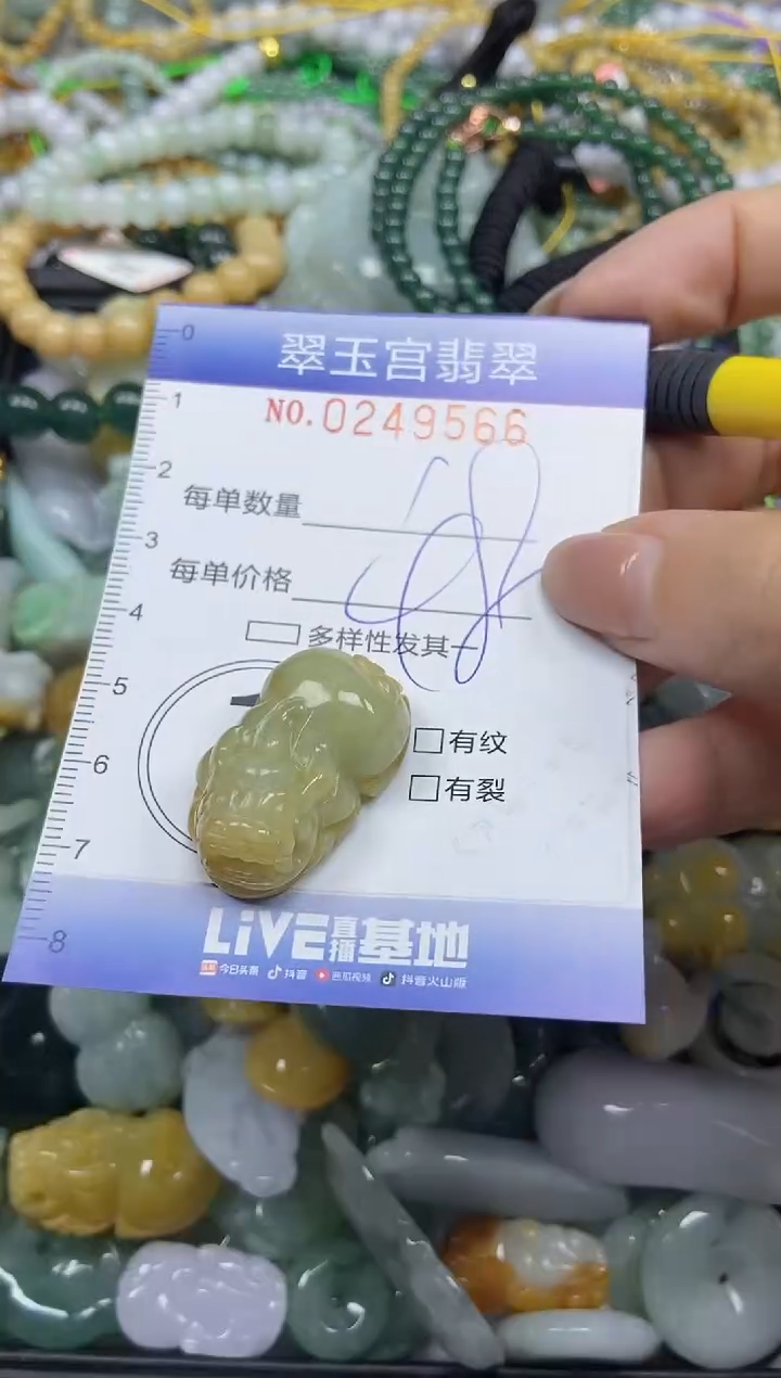 颈饰未镶嵌翡翠闪购C0249566