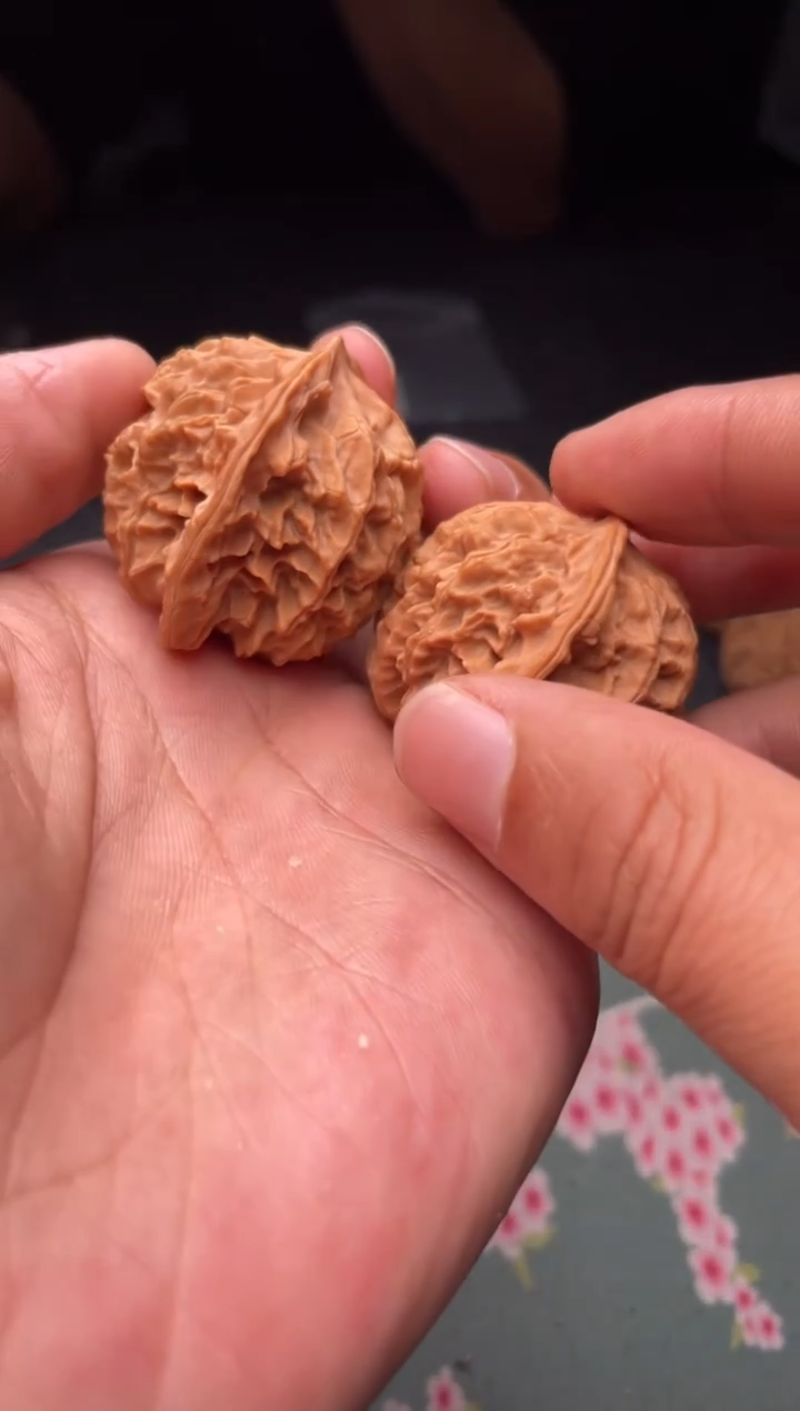 把件文玩核桃a305 盘龙纹  41尺