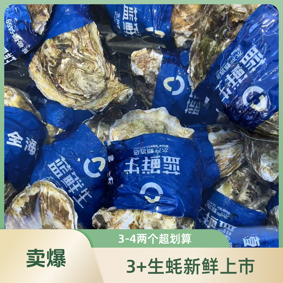 3+嘎嘎带劲的生蚝29.8到手10只3斤左右