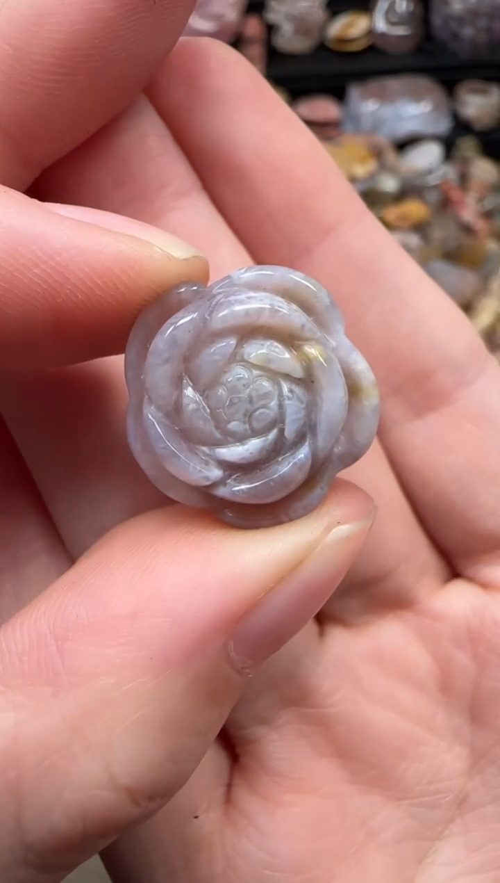 颈饰未镶嵌硅化珊瑚（珊瑚玉）278