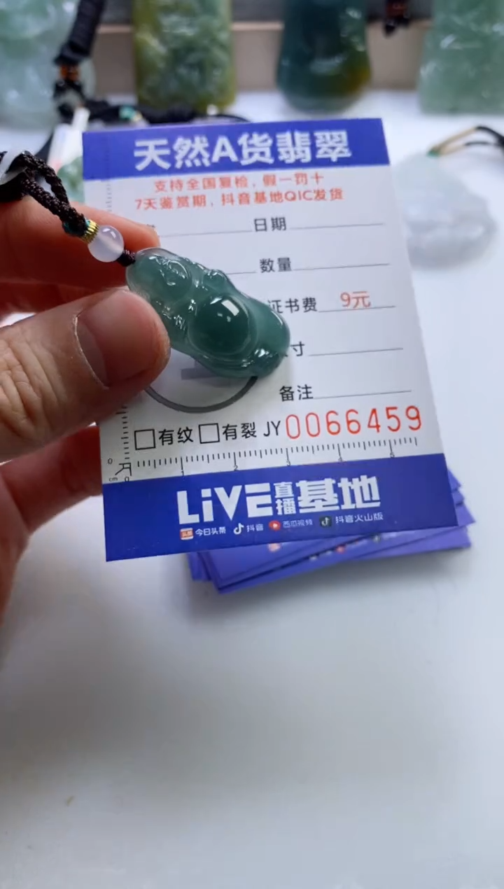 【闪购商品】翡翠挂件未镶嵌           