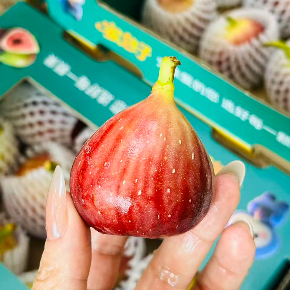 【树熟无花果一箱】娇气水果 个别损耗正常