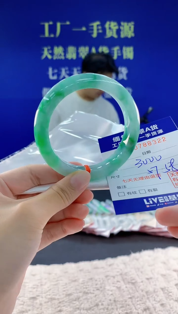 未镶嵌手镯翡翠22