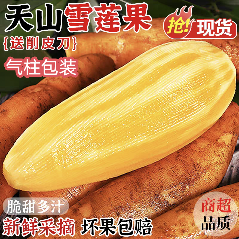 云南天山雪莲果现挖新鲜应季水果清甜脆爽黄心当季鲜采产地直发