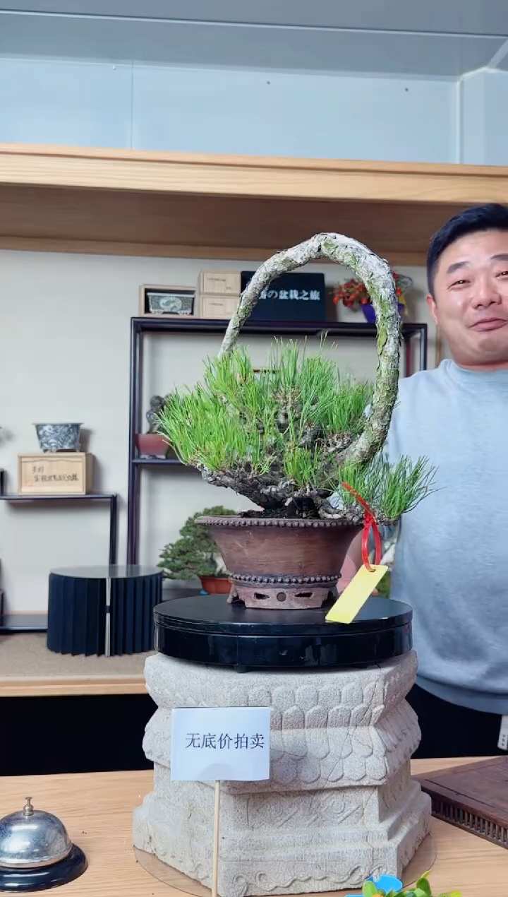 无花朵佐*水20251219无底价赤松