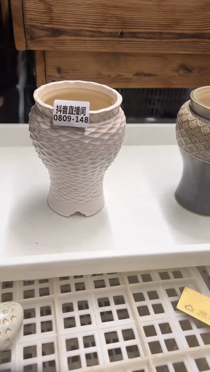 0809-148 凤尾尊微瑕一只 内口8.5