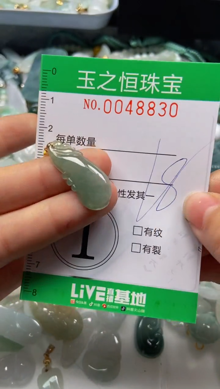 【闪购商品】翡翠颈饰未镶嵌闪购0048830