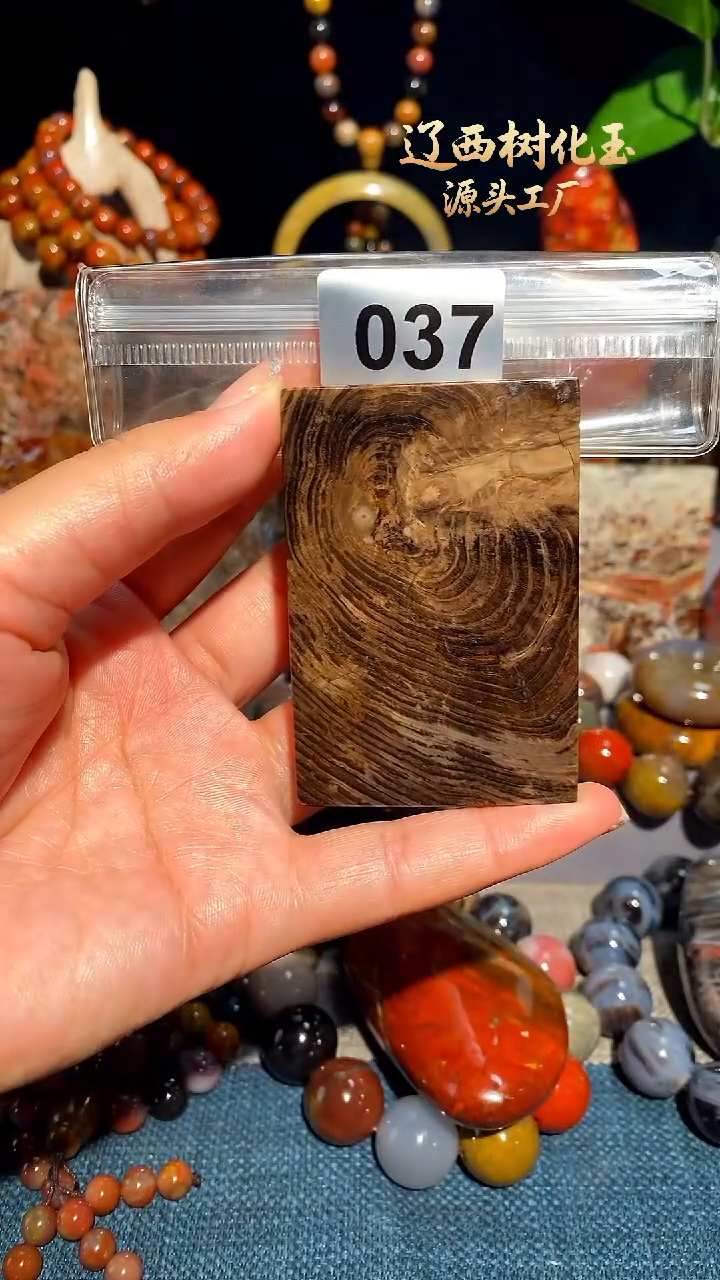 未镶嵌-硅化玉天然北票硅化玉吊坠