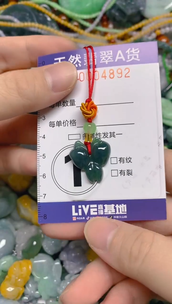 颈饰未镶嵌翡翠0004892