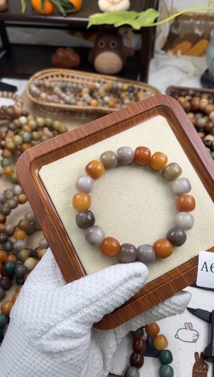 手串菩提根/象牙果a671卡14 干磨万圣家族孔一般