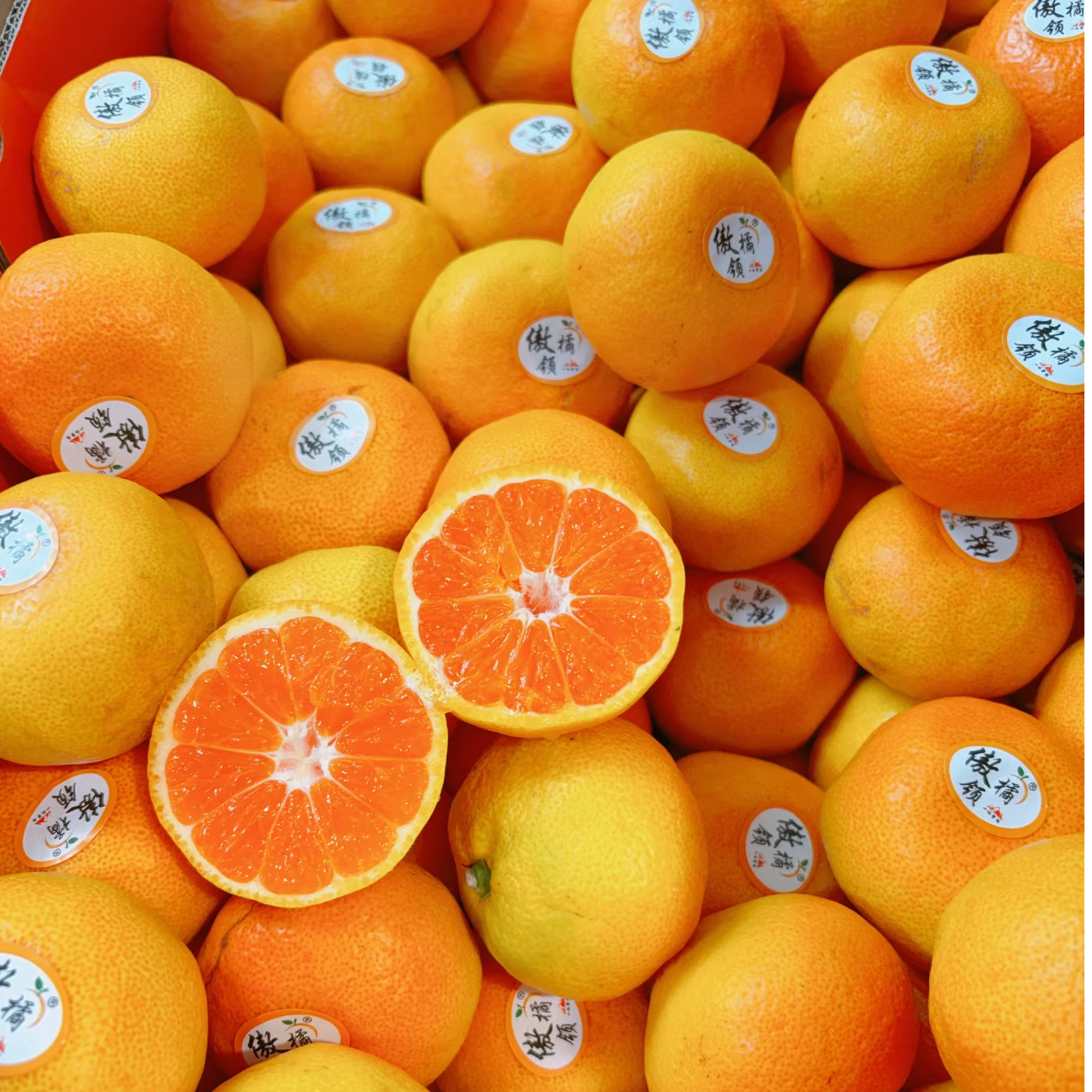【3斤±50g】涌泉蜜桔