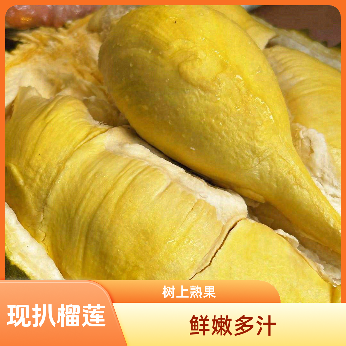   现扒树上熟新鲜榴莲   核小保650g净肉  包邮 一果一拍榴莲同城送榴莲同城送榴莲同城配金枕泰国