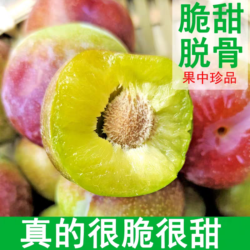 云南半边红李子现摘现发李子自家种植新鲜脆甜脱核当季水果