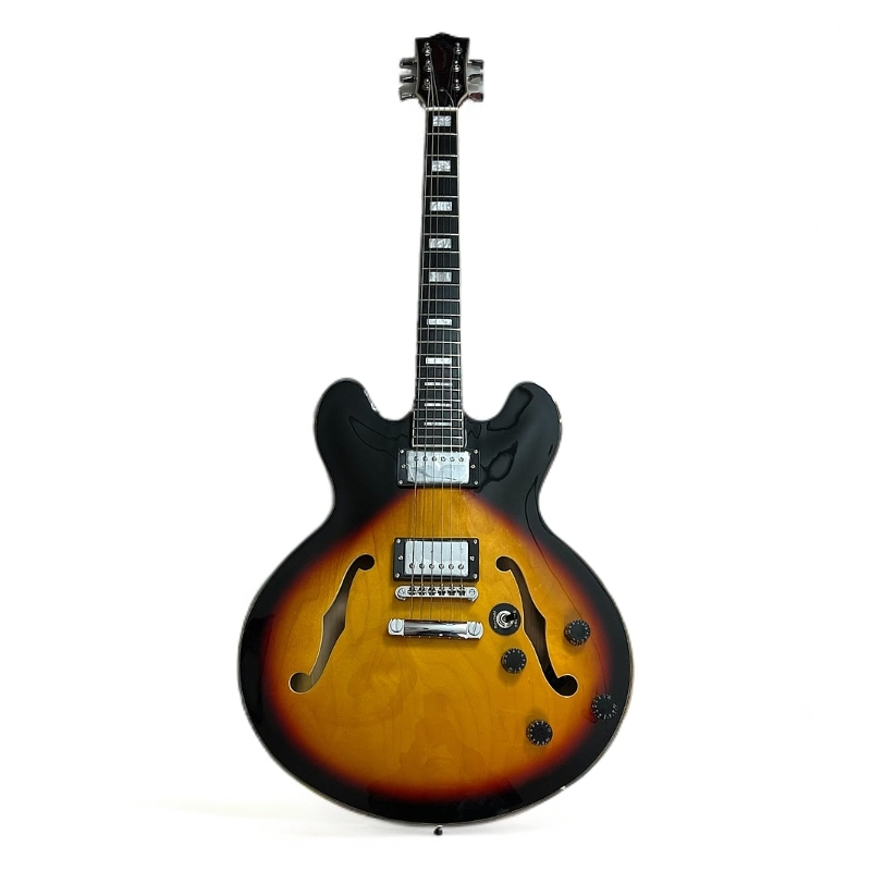 【国】335电吉他直播间一物一拍