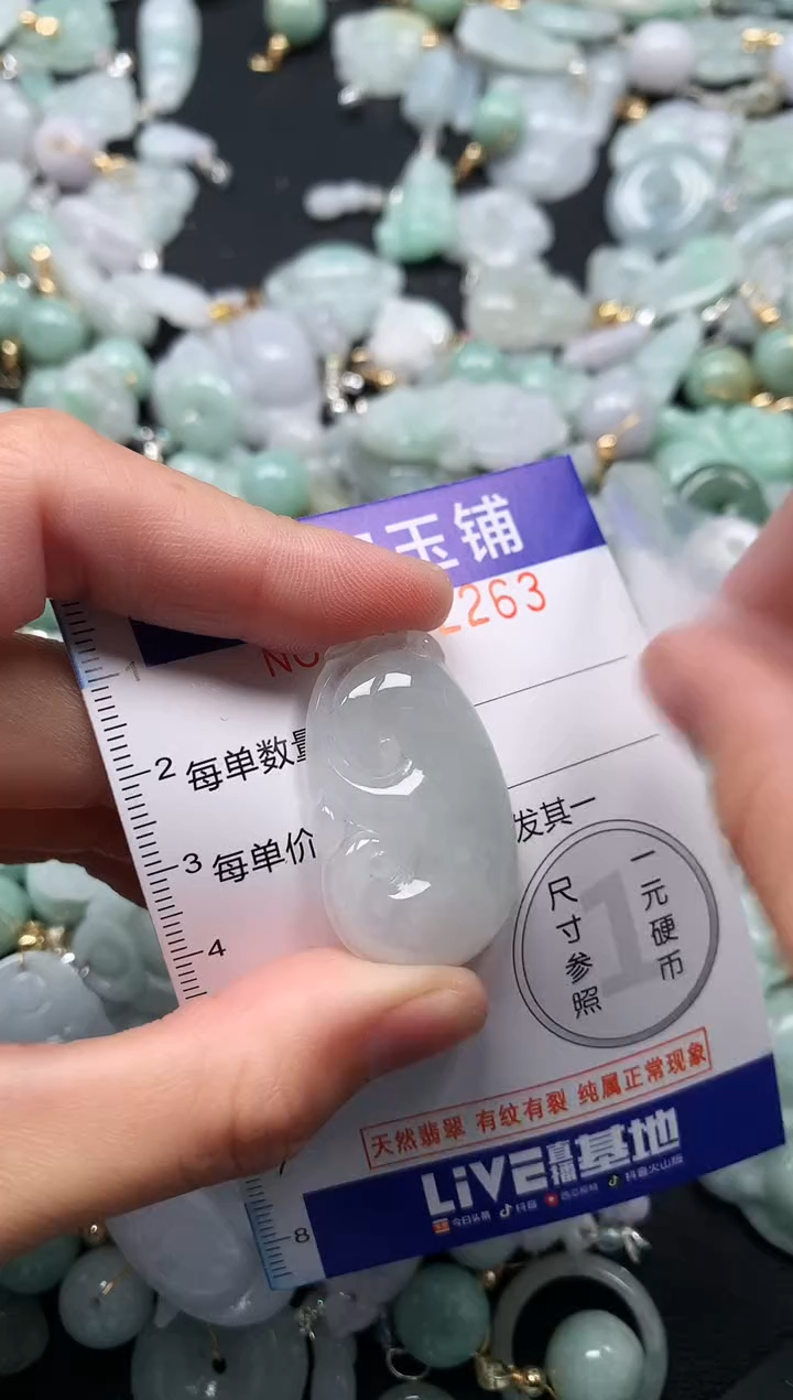 颈饰未镶嵌翡翠2263