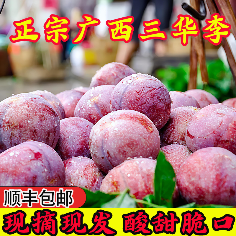 【广西红心三华李】正宗红心三华李现摘现发新鲜李子孕妇水果