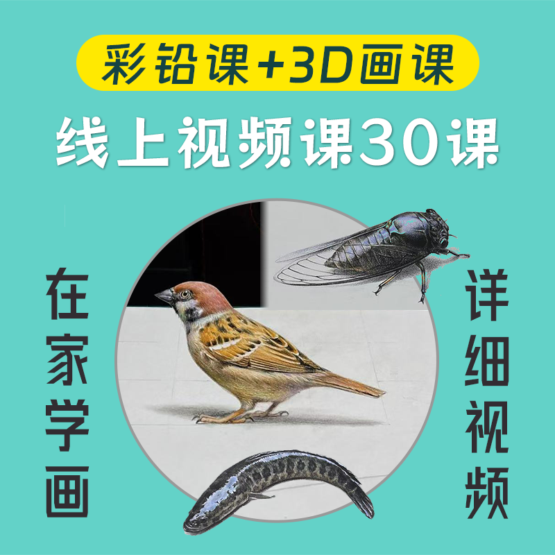 零基础学3D画基础课Y