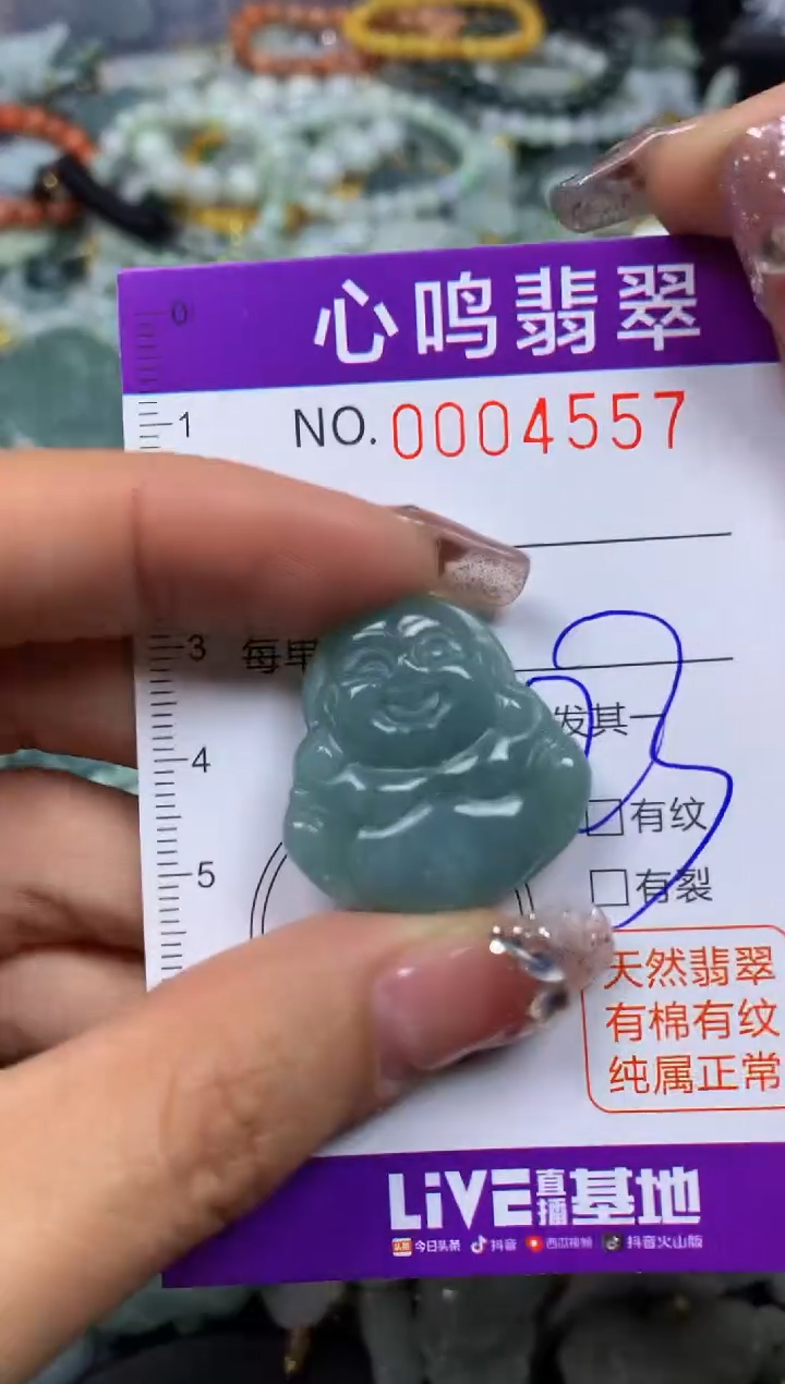 【闪购商品】翡翠颈饰未镶嵌闪购004557