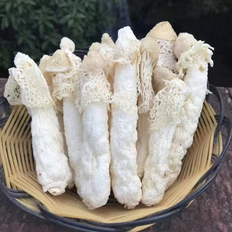 竹荪干货农产品特产煲汤鲜香浓郁