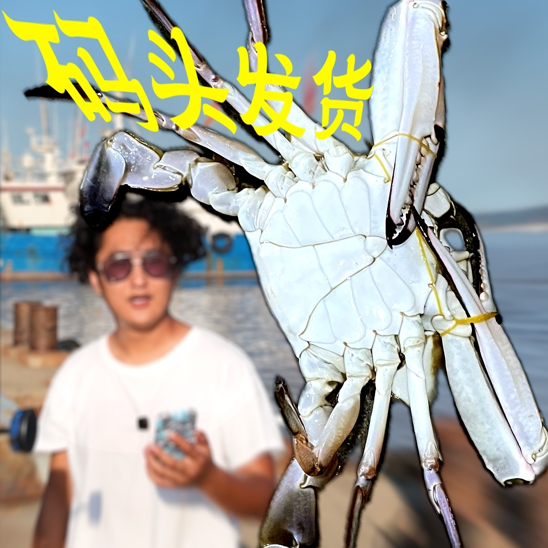 石浦梭子蟹普通品质单只1-3两3斤15只【保鲜不保活】