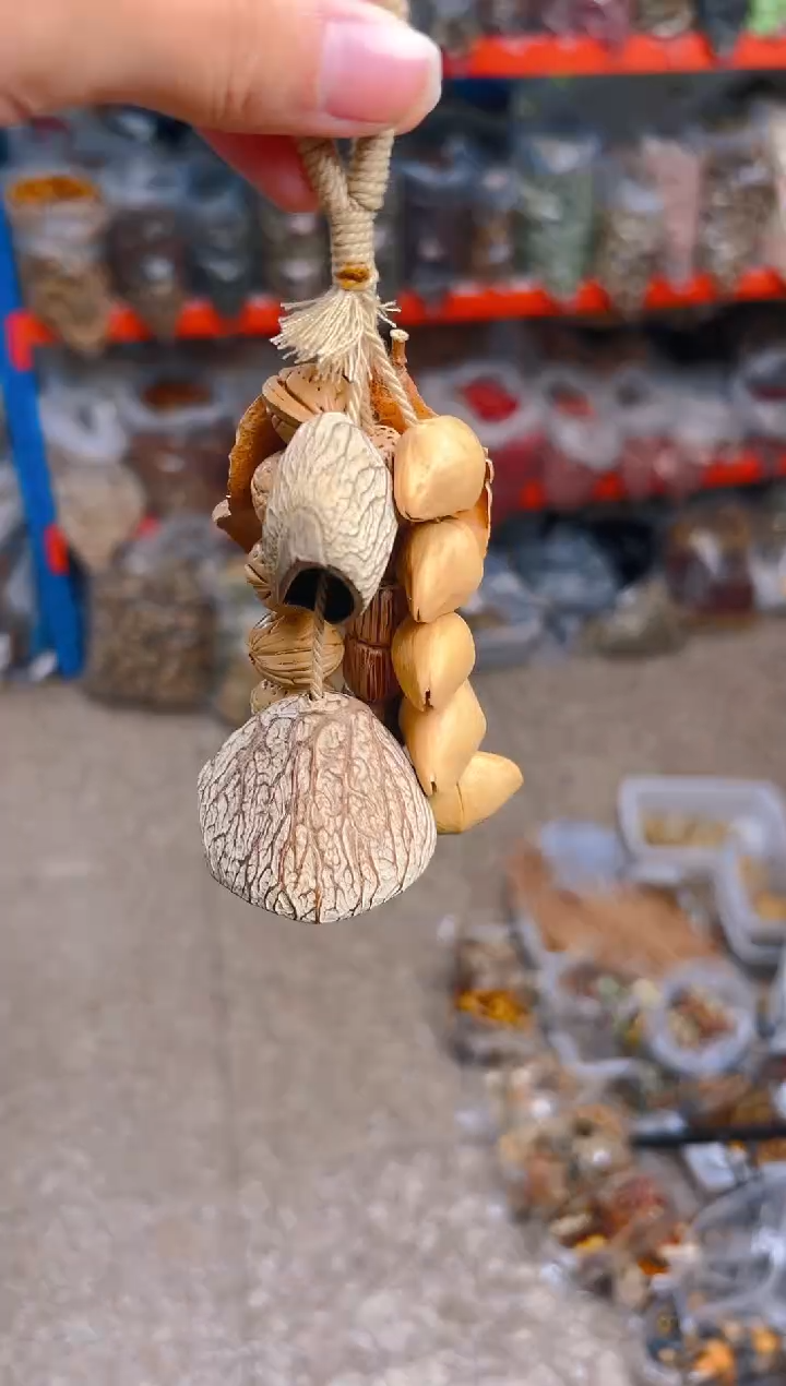 吊坠菩提根/象牙果13    13