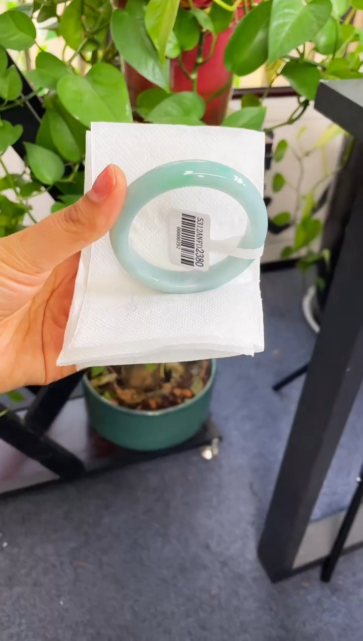 未镶嵌手镯翡翠039-53.3